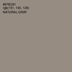 #978C81 - Natural Gray Color Image